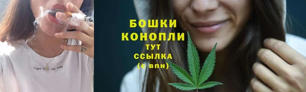эйфоретик Богородск