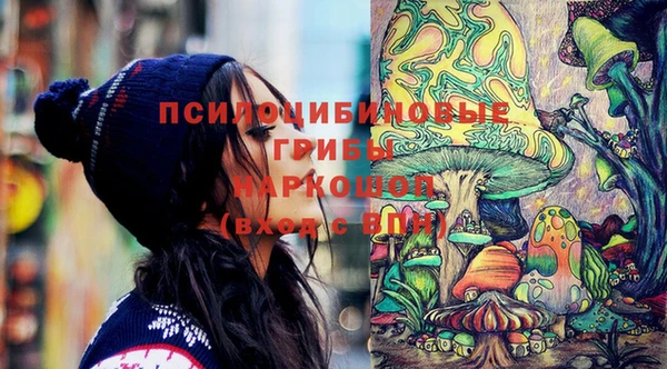 эйфоретик Богородск