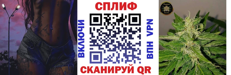 Бошки Шишки гибрид  Каневская 